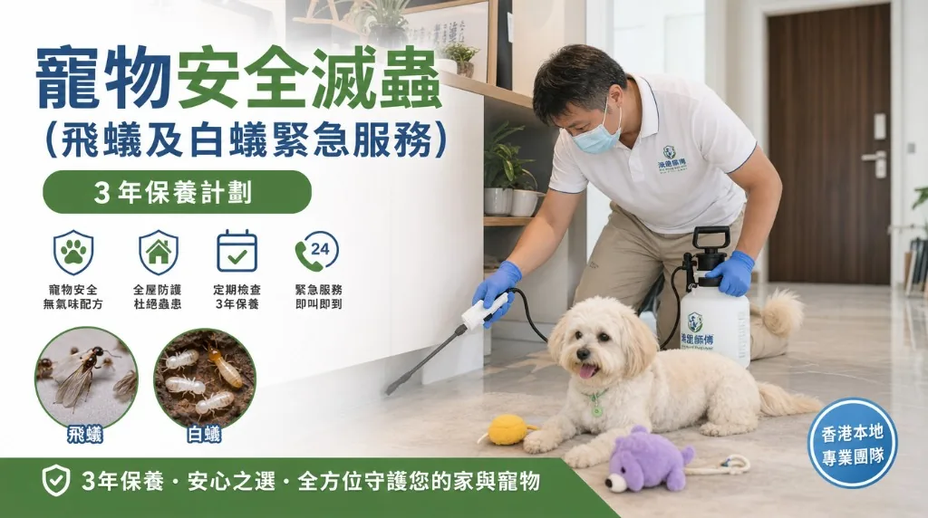 寵物安全滅蟲現場評估